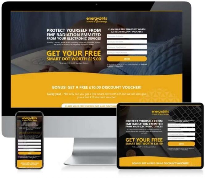 portfolio_leadpoint_energydots_content-1-768x662-672x